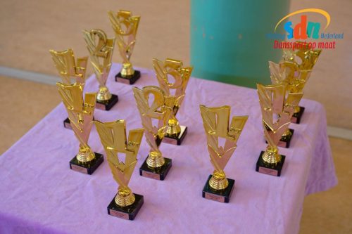 SDN-NK-Performing-Arts-Dance-2025 Quido-van-Hien-© -005